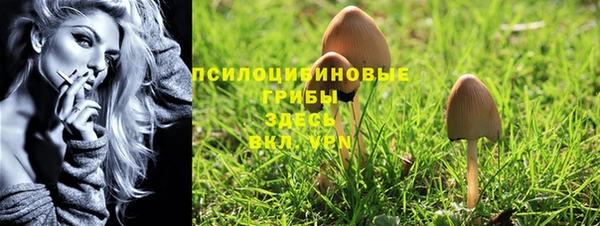 эйфоретик Баксан