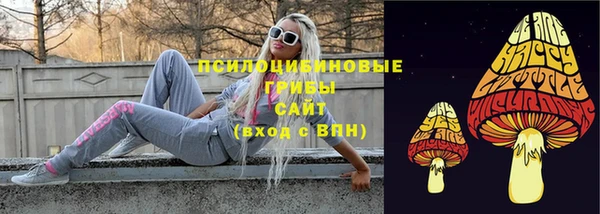 эйфоретик Баксан