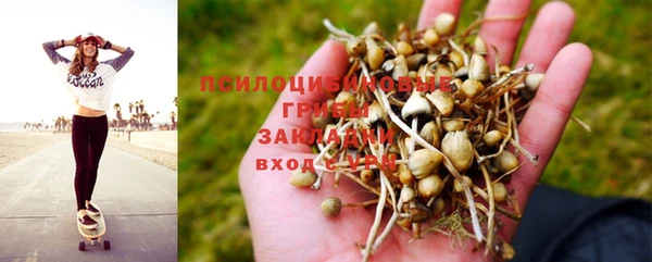 дживик Балахна