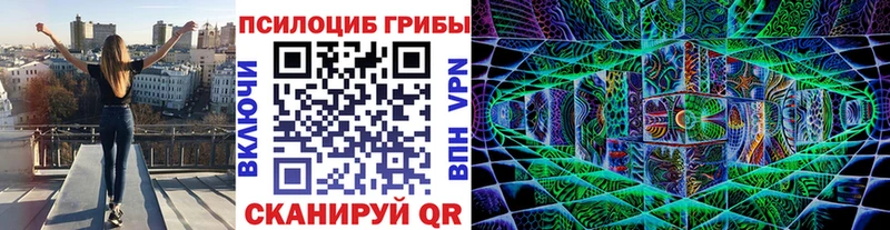 цена   Кировск  Галлюциногенные грибы Psilocybe 