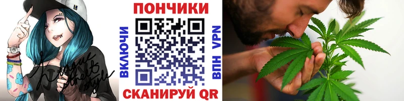 купить  цена  kraken как войти  Бошки Шишки THC 21%  Кировск 